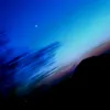 shroomish_official