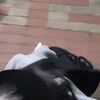 cndqnrsj0316