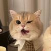 nuuuuwwwsu