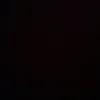 vit_0197
