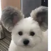 alswl0ju