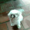 minahuynh92