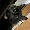plumacrobat7166