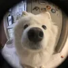 dnthtwww