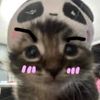 miku_not_hatsune_miku