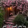 user576378361664