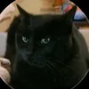lois_nouveau_compte