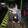 gede_gunawan