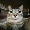 herobeo6
