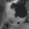 arely.384y