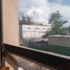 taleseltigre