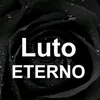 caaholiveira331