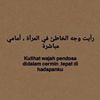 y25.zql