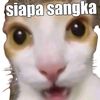 agaimana22