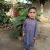 maoozkhani3