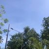 petrawilla5