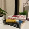_lulusbookrecs_