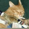 max_worden