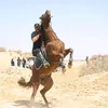 arabian.hours.club