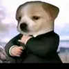 fnafbonnie1981