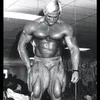 virgolini33
