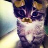 onlyz_putrzzcyaa