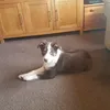 graciejim66