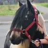 lslaandholly