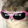 1perlita