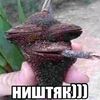 xaxaaxaxaxaxaaxax