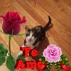 rocio_dominguez28