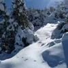 Mohamed_Atlas_