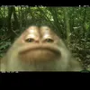 pogigwapi2