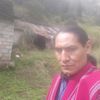 alberts.2