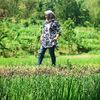 ajengaja.01
