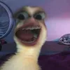 _ttzn