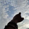 al_amri701