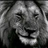 mr_z3lan