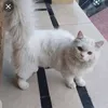 zabyking72