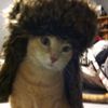 usernot_found662