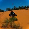 that_yfz450r
