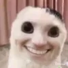 kralovnarobloxu