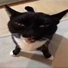 purkameq