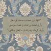 hajer_613