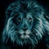 wanted_444_official