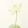 lilyle2512