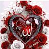 ali.sher.junejo6