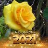 olgagonzalez628