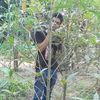 mylifefreedomk