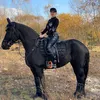 Фризантема